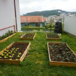 Creche (6)